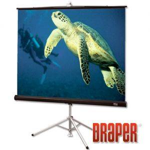 Экран Draper Diplomat NTSC (3:4) 305/120" (10') 175*234 MW