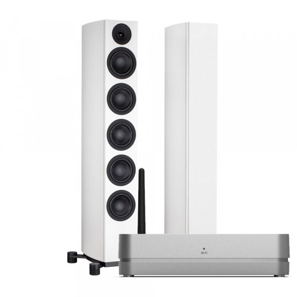 System Audio SA legend 60.2 silverback + Stereo Hub