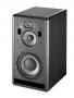 Focal Trio 6 ST6