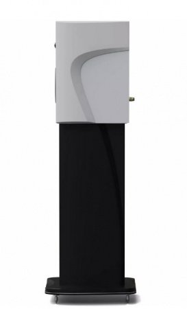 Morel Avyra 622