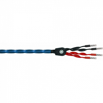 Wireworld Oasis 8 Biwire Speaker Cable 2.0m