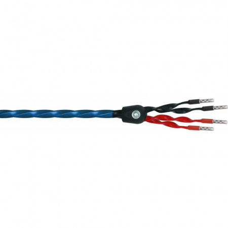 Wireworld Oasis 8 Biwire Speaker Cable 2.0m