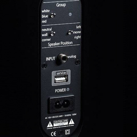 Piega Premium 301 Wireless
