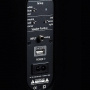 Piega Premium 301 Wireless
