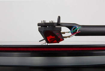 Rega Ania Pro MC