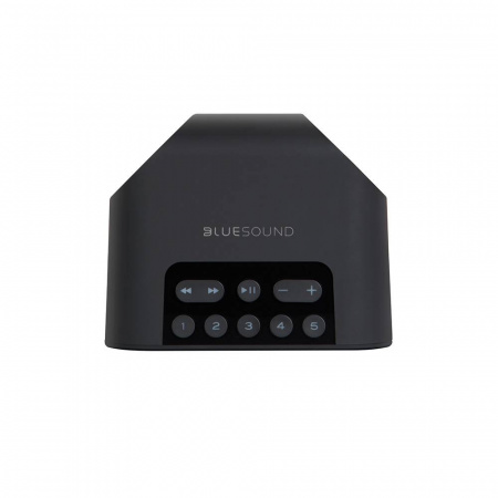 Bluesound PULSE FLEX 2i