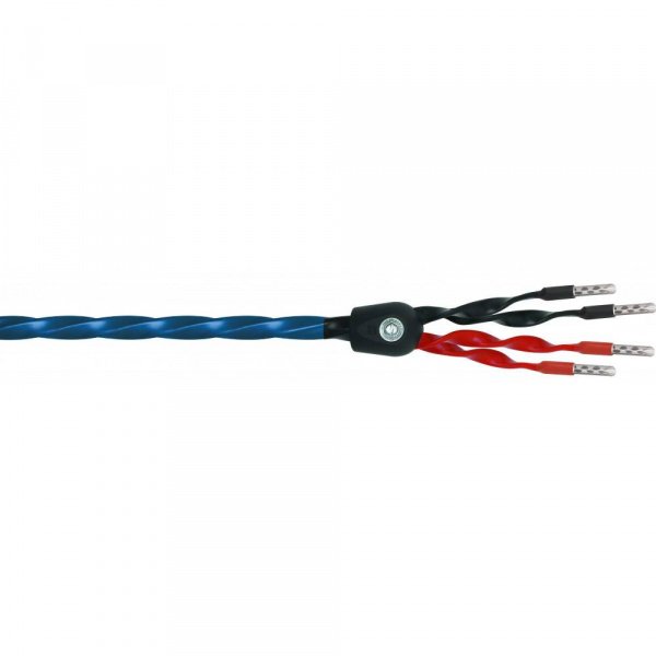 Wireworld Oasis 8 Biwire Speaker Cable 2.5m