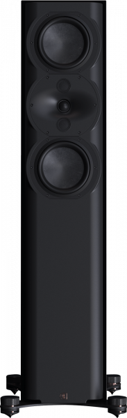 Perlisten Audio R5t