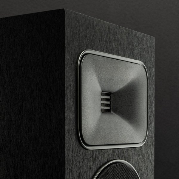 Martin Logan Motion Foundation F1