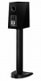 Paradigm Founder 40B