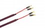 Tchernov Cable Classic MkIII SC Sp/Bn 2.65 m