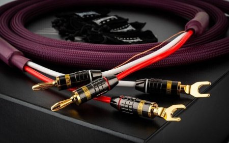 Tchernov Cable Classic MkIII SC Sp/Bn 2.65 m