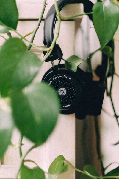 Grado GW100x