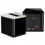 Martin Logan BalancedForce 210