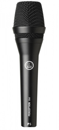 AKG P5S