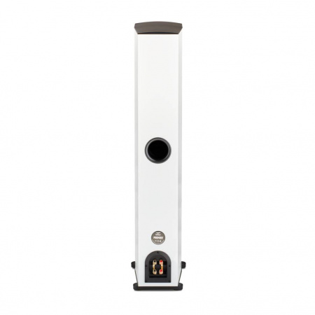 Paradigm Premier 800F