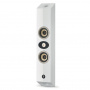 Focal On Wall 301