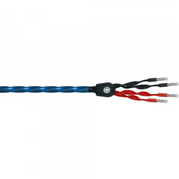 Wireworld Oasis 8 Biwire Speaker Cable 3.0m