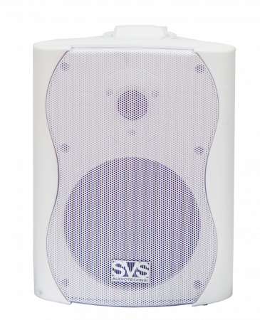 Настенная акустика SVS Audiotechnik WS-30, White