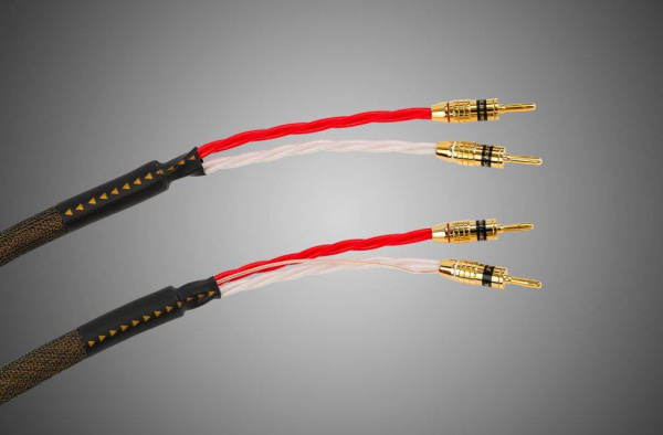 Tchernov Cable Reference DSC SC Bn/Bn 1.65 m