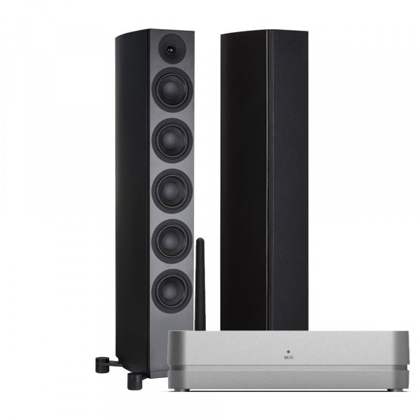 System Audio SA legend 60.2 silverback + Stereo Hub