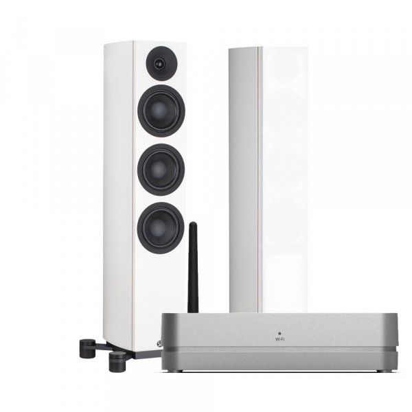 System Audio SA legend 40.2 silverback + Stereo Hub
