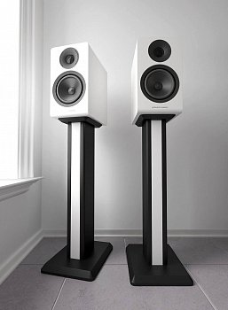 Acoustic Energy AE300