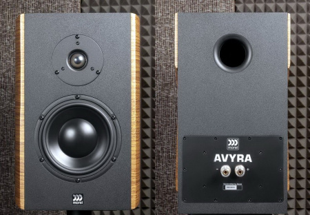 Morel Avyra 622