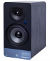 Студийный монитор Radiotehnika S-20M Black Ash