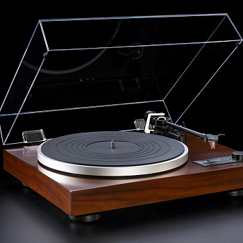DUAL CS 518 Walnut