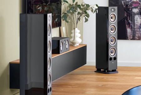 Focal Aria Evo X Center