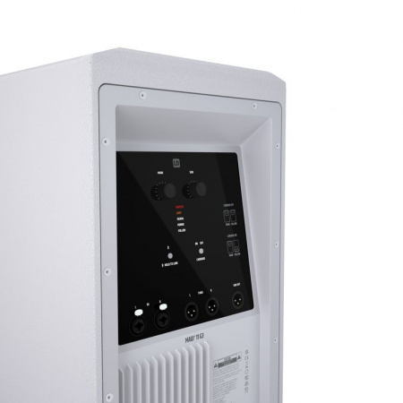 LD Systems MAUI 11 G3 W