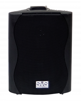 Настенная акустика SVS Audiotechnik WS-30, Black