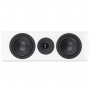 System Audio SA Legend 10.2 silverback