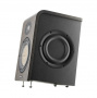 Focal Shape 65