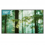 Hisense DLT150-B