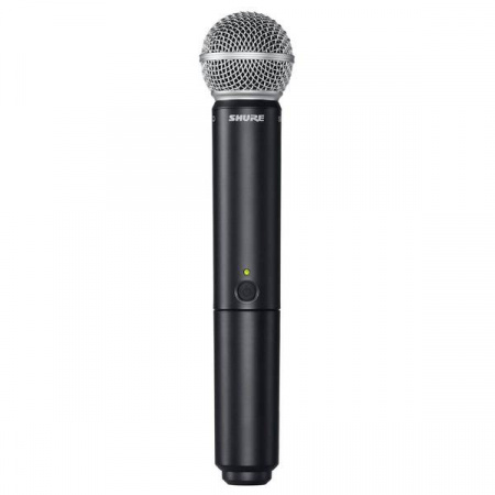 SHURE BLX288E/PG58 M17
