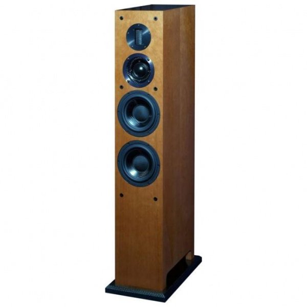 ProAc Carbon Pro 6