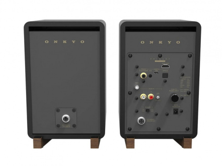 Onkyo GX-30ARC активная беспроводная акустика
