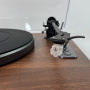 Phaze Audio Diana MK2 Shadow black
