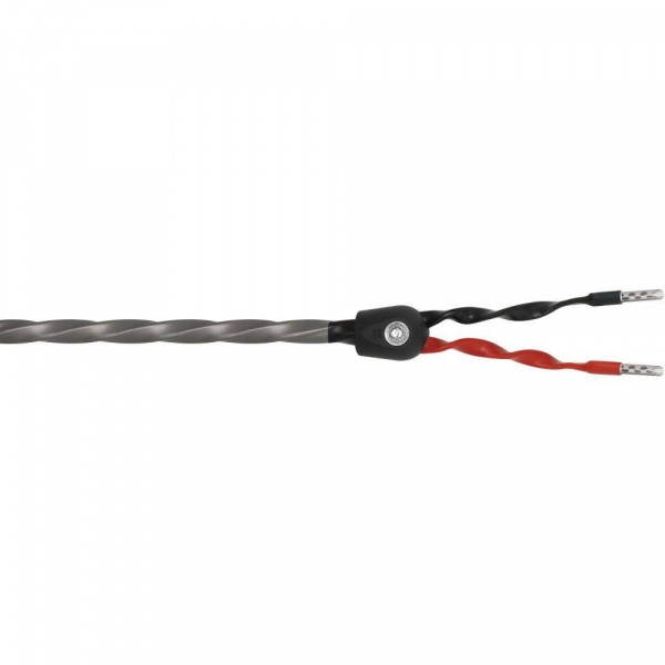 Wireworld Equinox 8 Speaker Cable 2.5m