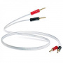 QED XT25 Pre-Term 5.0m, Banana (QE1464)
