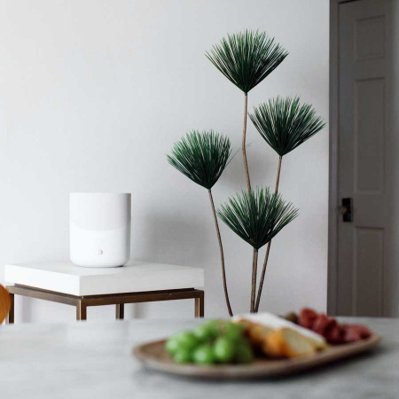Bluesound Pulse M White
