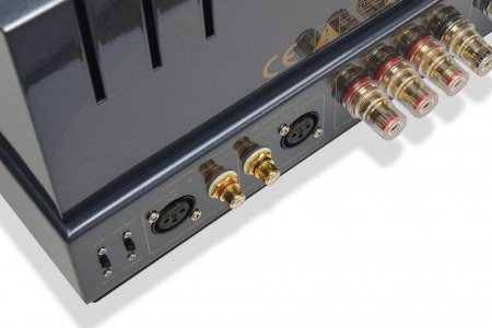 Primaluna Evolution 300 Power