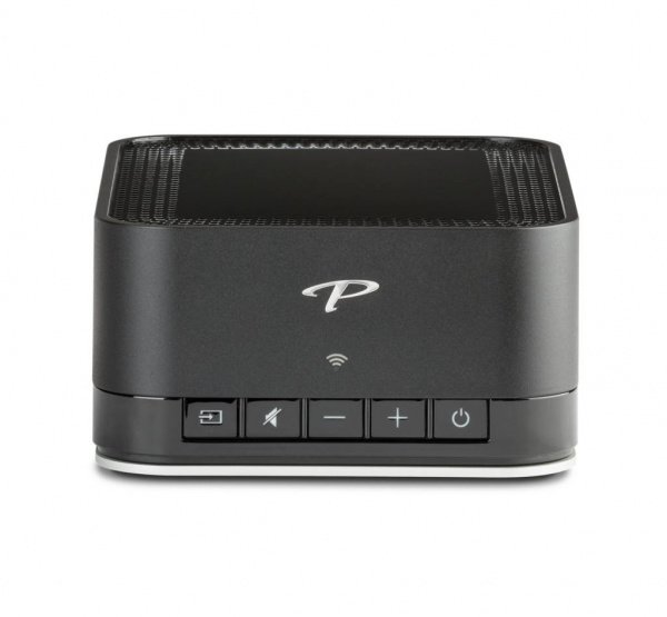 Paradigm PW AMP